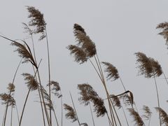 -绿堤公园