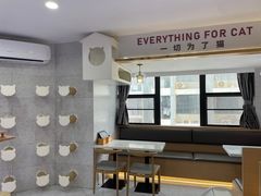 -喵园·猫主题咖啡厅·撸猫·猫咖(国贸店)