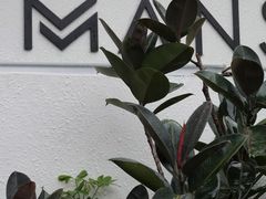 -漫笙舍Manse·咖啡·民宿