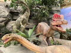 -国家自然博物馆