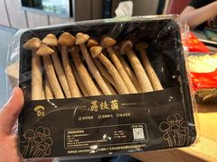 -顺风山庄(水濂山店)