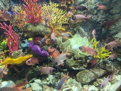 -太平洋海底世界