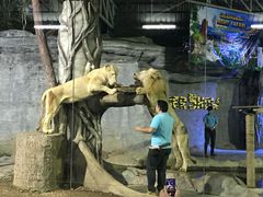 -清迈夜间动物园