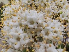 -国家植物园