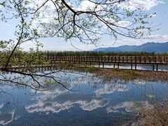 -野鸭湖国家湿地公园