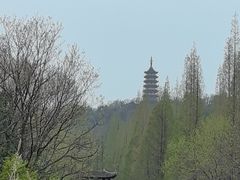 -焦山风景区