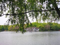 -共青国家森林公园-南大门停车场