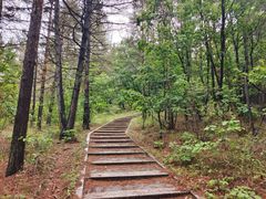 -帽儿山国家森林公园