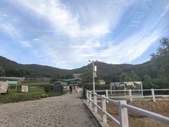 -金石滩蓝莓谷庄园