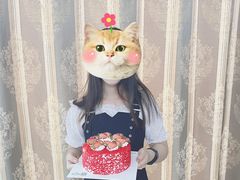 -维尔纳斯·生日蛋糕动物奶油冰淇淋蛋糕(人大店)