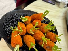 -丁老爷子苏香圆