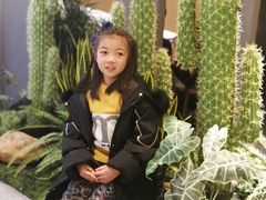 -首开·龙湖成都西宸天街