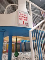 -汤姆猫亲子乐园(保利Mall店)