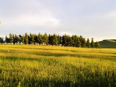 -塞罕坝国家级自然保护区