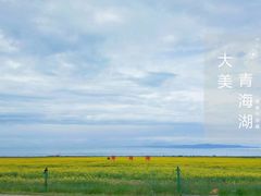 -青海湖国家重点风景名胜区