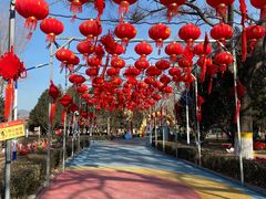 -青龙湖公园