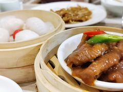 -茶港·点心·啫啫煲(范湖万达广场店)