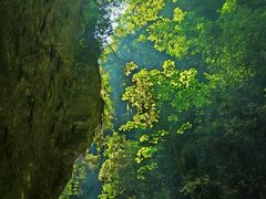 -蝶舞清江·恩施地心谷景区