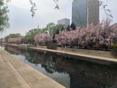 -元大都城垣遗址公园