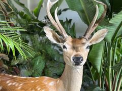 -中国天府农业博览园