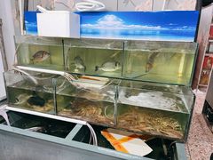 -成发鱼生