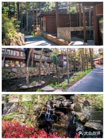 宁波旅游|我睡在森林里听风吹过的声音