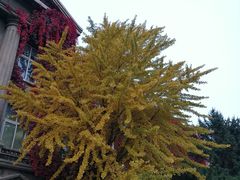 -辽宁大学(崇山校区)