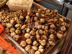 毛蚶-沈家门海鲜夜排档(东港店)
