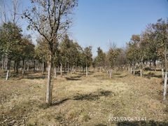 -淇河国家湿地公园