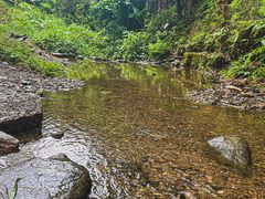 -三门江国家森林公园