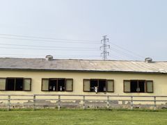 -北京群众马术培训基地