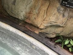 -海口观澜湖火山温泉谷