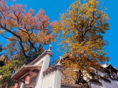 -塔川景区