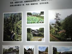 -中国庆元廊桥博物馆