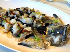 古法蒸老虎斑-利苑酒家(金宝店)
