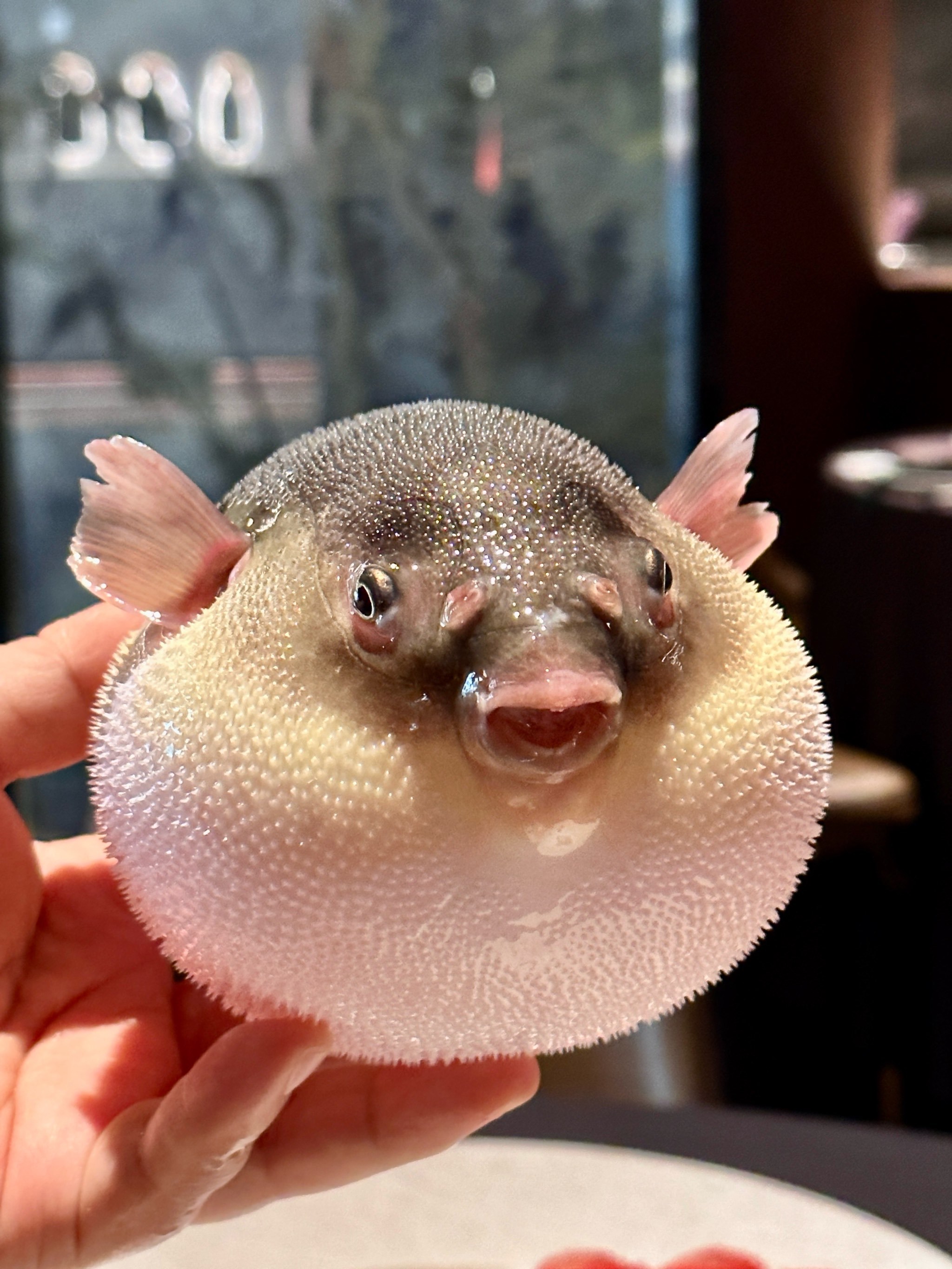 北京春日漂亮饭🍽️之