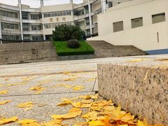 -南京理工大学紫金学院