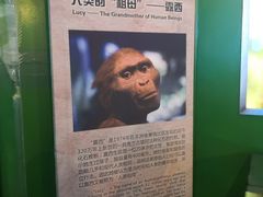 -辽宁古生物博物馆