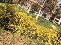-西安外国语大学(雁塔校区)
