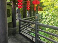 -大唐贡茶院