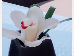 -上海和平饭店华懋阁 Cathay Room