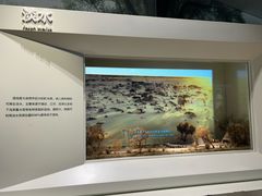 -中国湿地博物馆