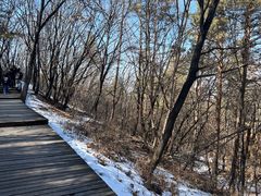 -帽儿山国家森林公园