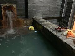 -北京美神宫艺术主题温泉酒店