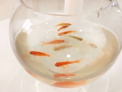 点击看大图 -Return·蕾特恩祛痘·皮肤管理中心