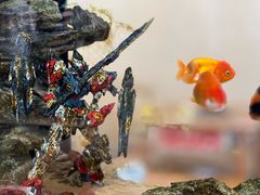 -金鼎雪山牦牛杂火锅(理县总店)