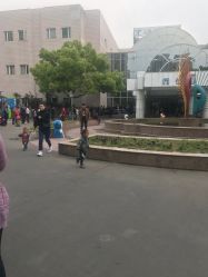 -上海交通大学医学院附属上海儿童医学中心(陆家嘴总院区)
