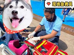 -亚特兰蒂斯水世界冒险乐园