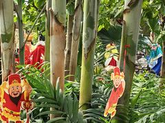 -南宫五洲植物乐园