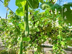 -小乡小镇·传承桐庐土菜·老板亲自烧的菜